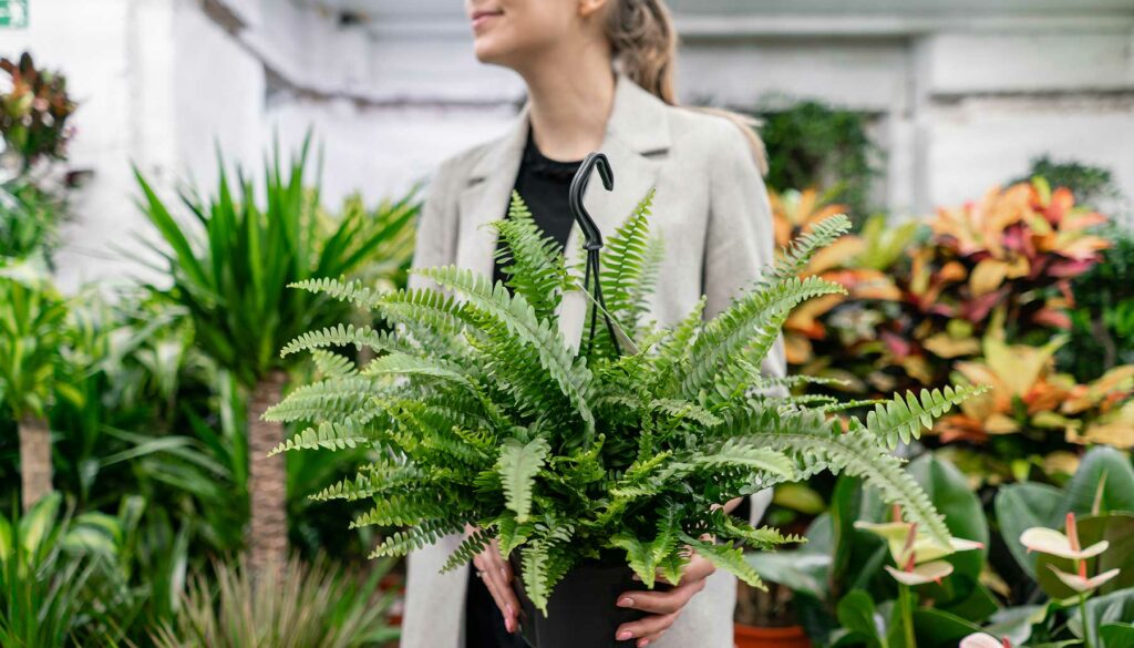 woman shopping for plants, holding a fern