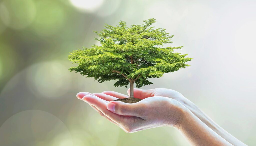Cupped hands holding a tree, concept of Arbor Day