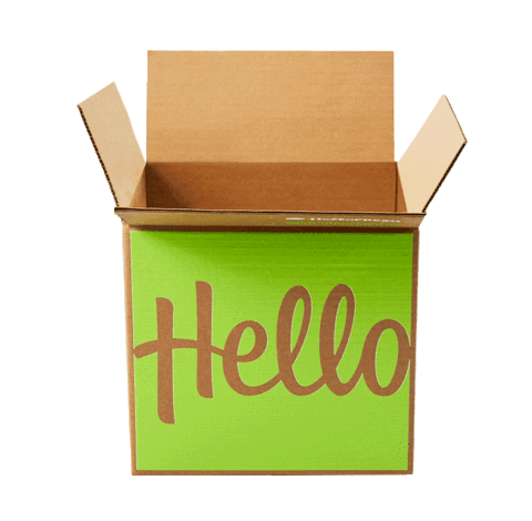 HelloFresh meal delivery service box