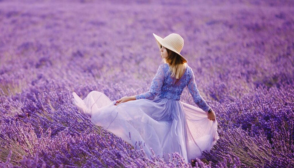 woman in a field of lavender