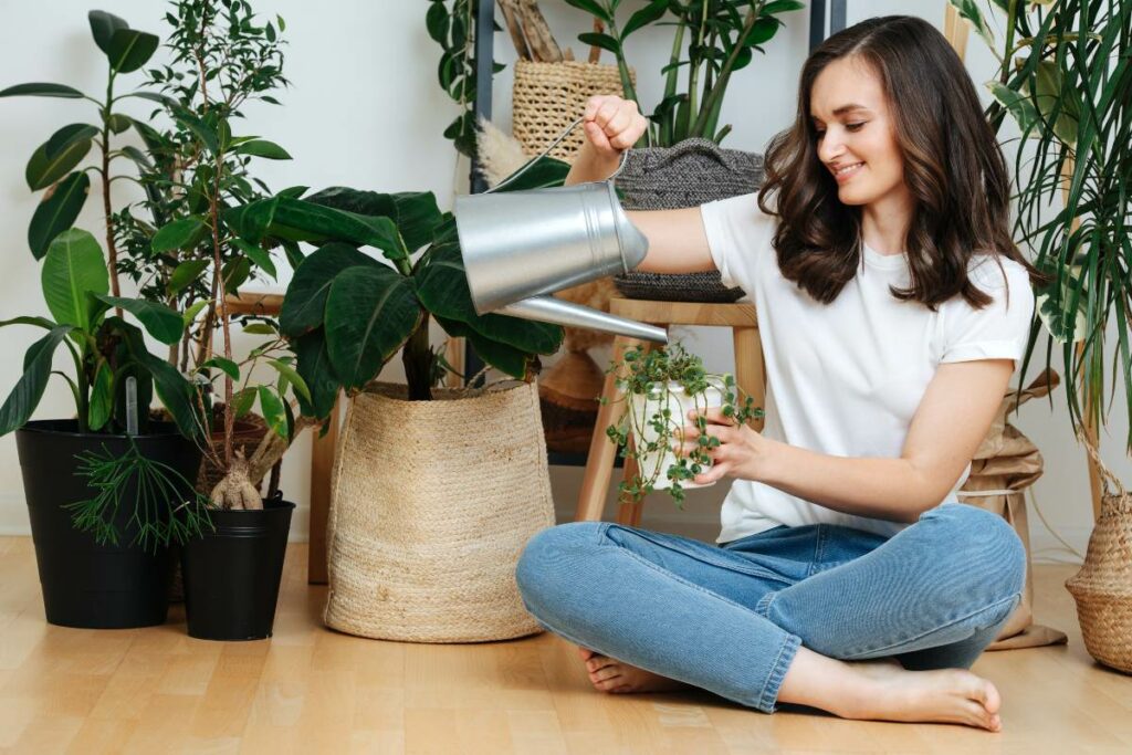 woman watering a plant