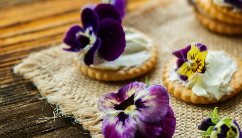 Crackers with cheese and violas