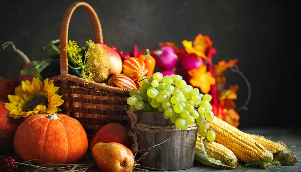 Baskets and bushels of fall vegetables