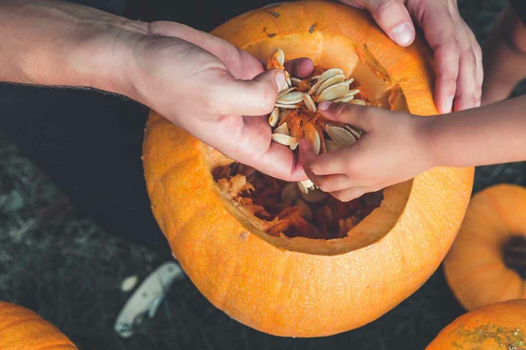 hands removing seeds from inside pumpkin, carving a jack-o-lantern