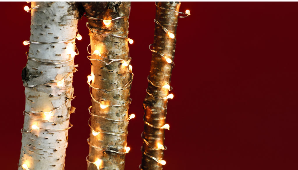 Branches wrapped with twinkle lights