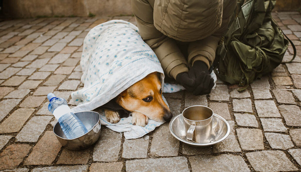 Homeless person and dog