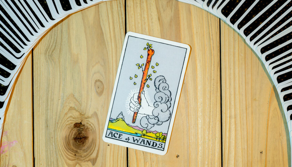 Ace of Wands tarot card