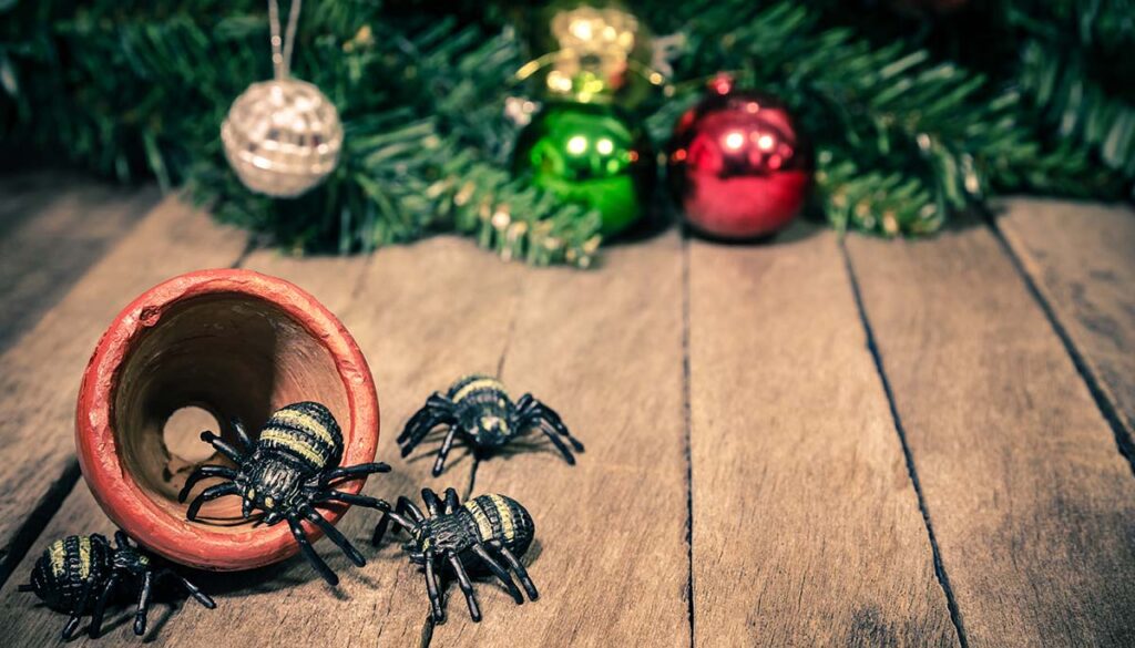 family of spiders in orange pot in front of Christmas decorations