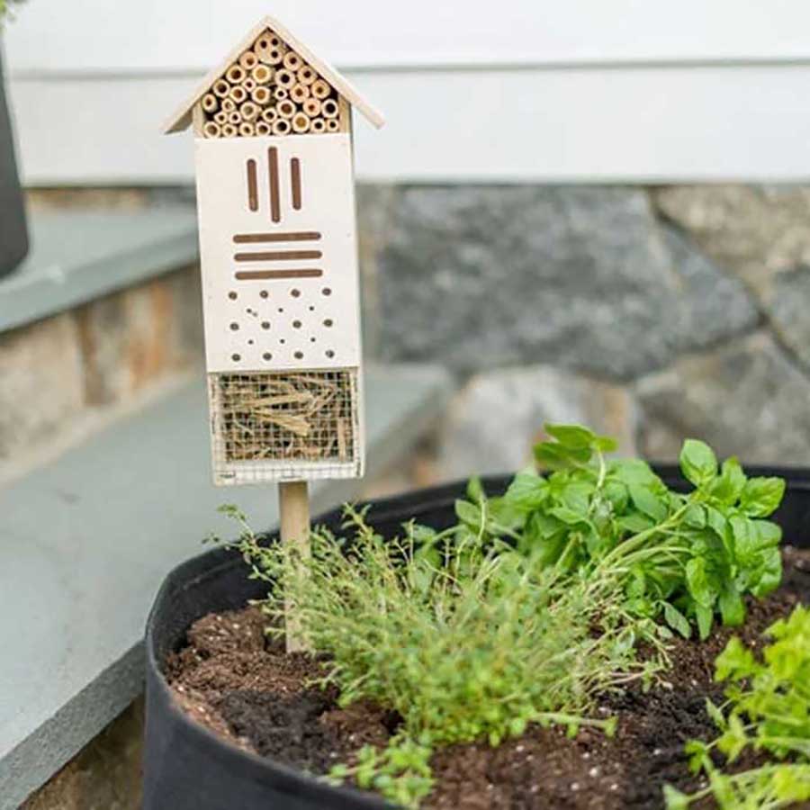 Wooden house for bees and other pollinators