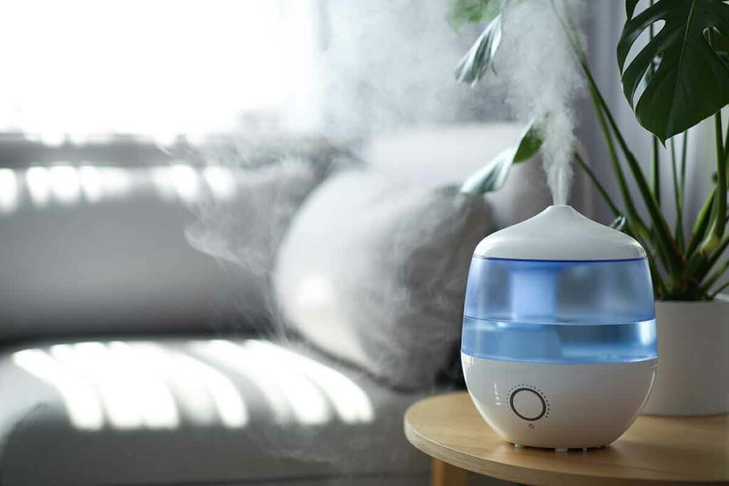 humidifier in a living room