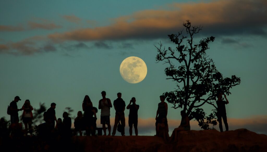 group of people gazing at the moon