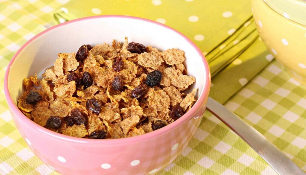 bowl of raisin bran cereal