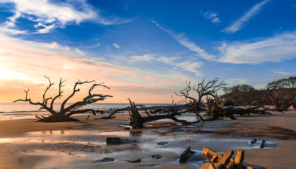 Sunrise view of Driftwood Beach in Jekyll Island, Georgia. Driftwood is popular with its long beach full of dead tree roots along ocean.