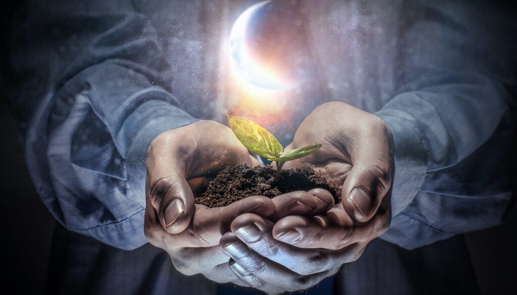 crescent moon floating over hands holding a plant 