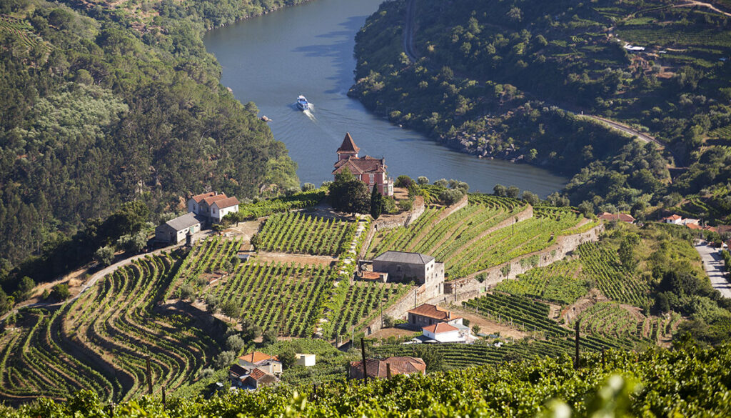 Landscape in Douro Valley, Portugal