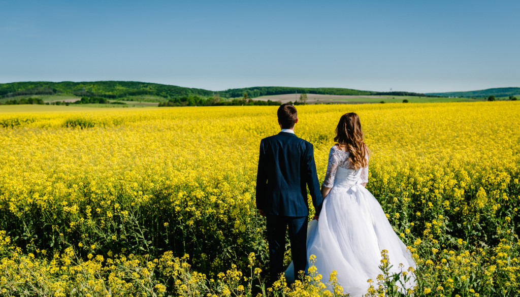 Bride and groom standing and staring at a field of yellow flowers