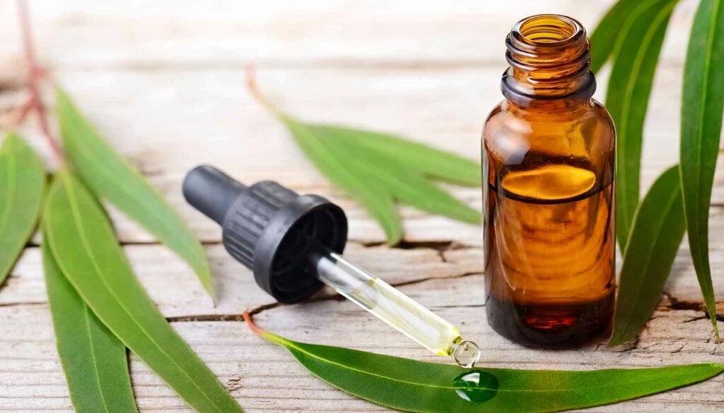 eucalyptus essential oil