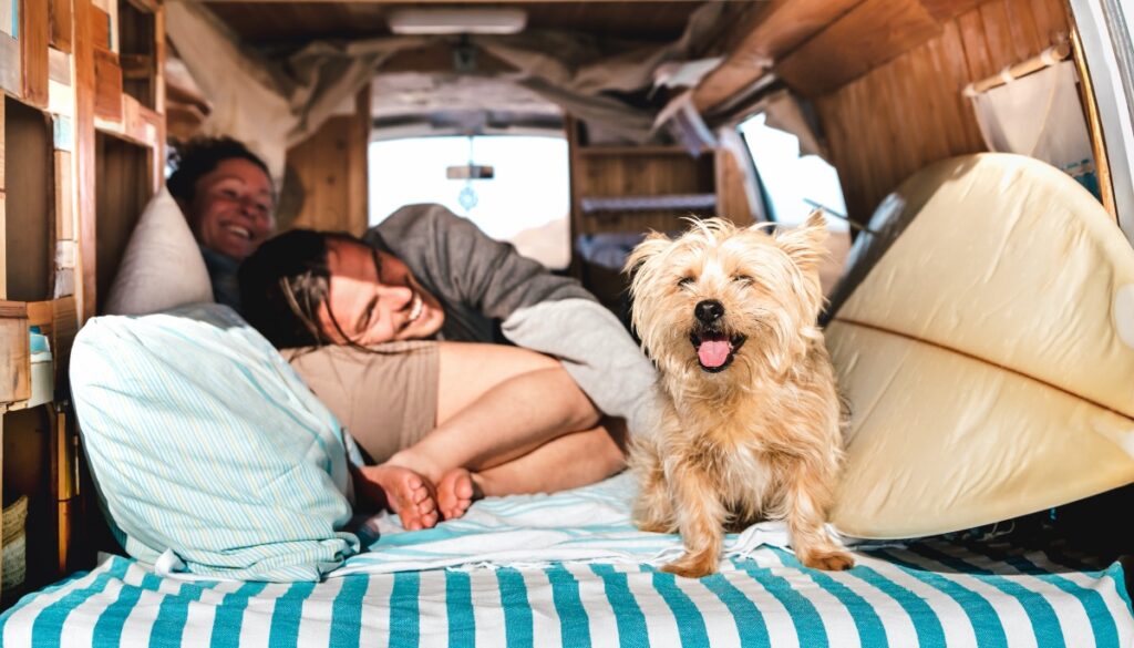 couple smiling in a camper van with small dog