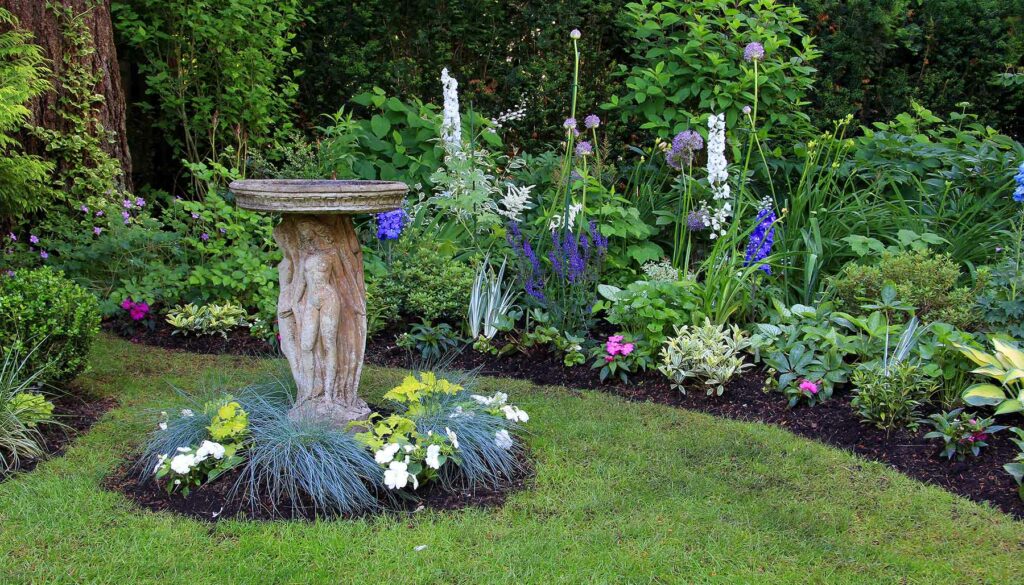 garden with bird bath