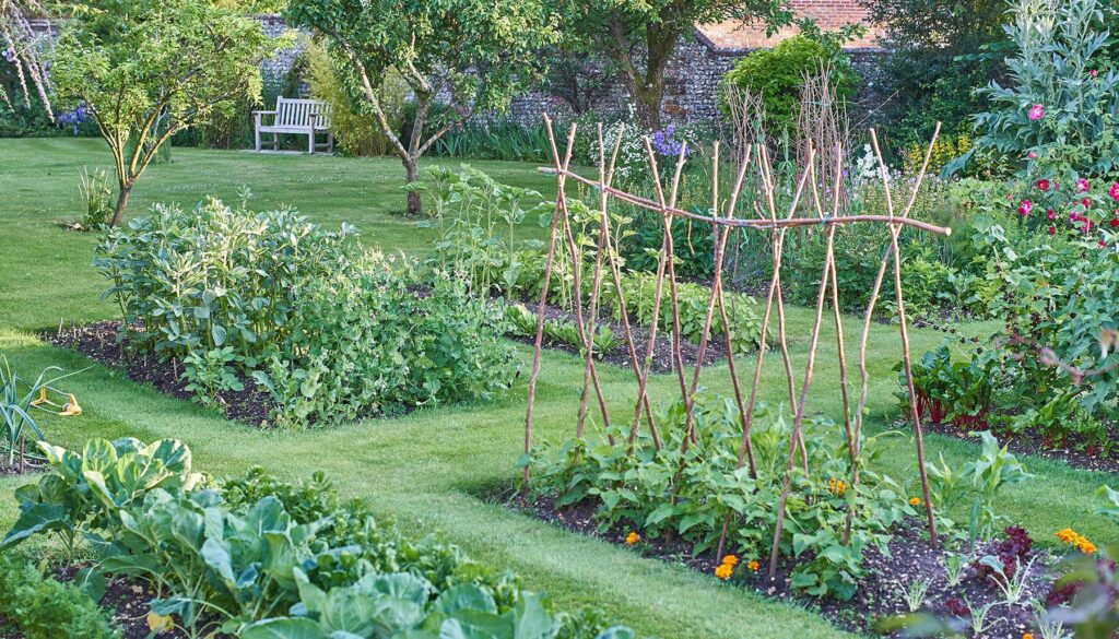 a large backyard vegetable garden