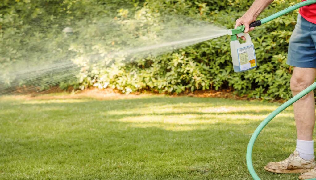 spraying a lawn
