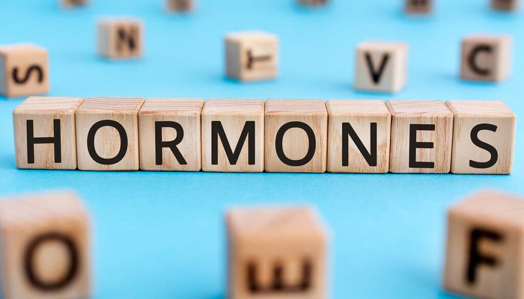 Hormones - word from wooden blocks
