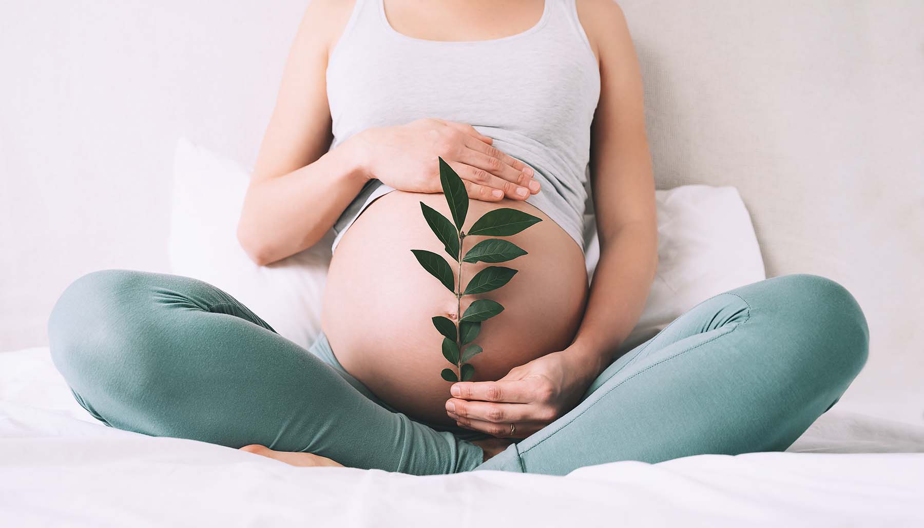 Pregnant woman holds green sprout plant near her belly as symbol of new life, wellbeing, fertility,