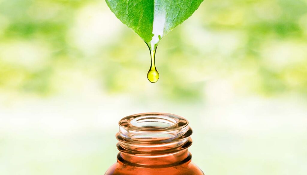 Herbal essence. Alternative healthy oil