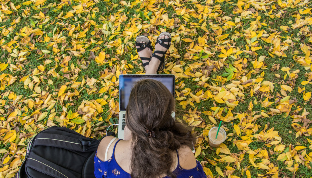 Overhead view of woman on laptop sitting on ground covered with yellow leaves