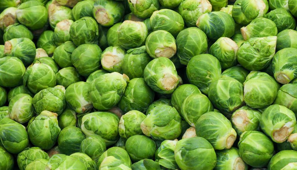 Close up of many Brussels sprouts