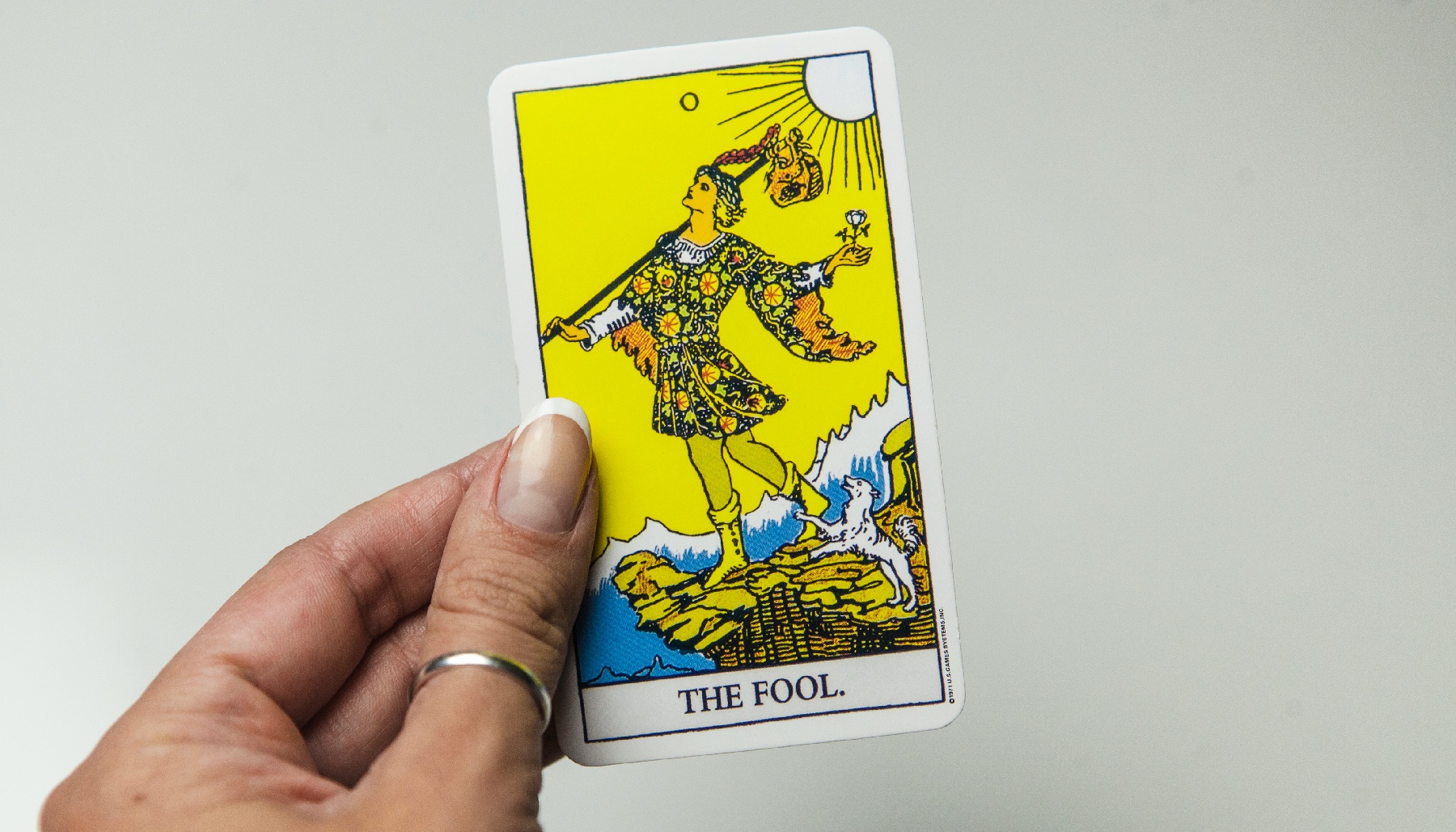 a hand holding the fool tarot card