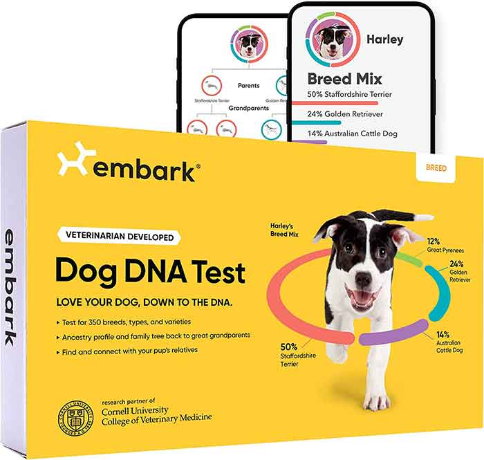 Embark DNA kit for dogs