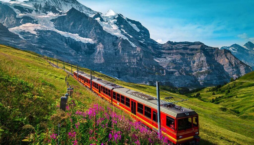 Jungfrau train passing Jungfrau mountains with glaciers, snowy peaks, and green fields of red flowers